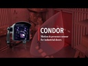 BEA CONDOR